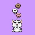 cute white cat Ã¢â¬â¹Ã¢â¬â¹wants donuts